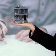What to Expect From Building and Pest Inspections